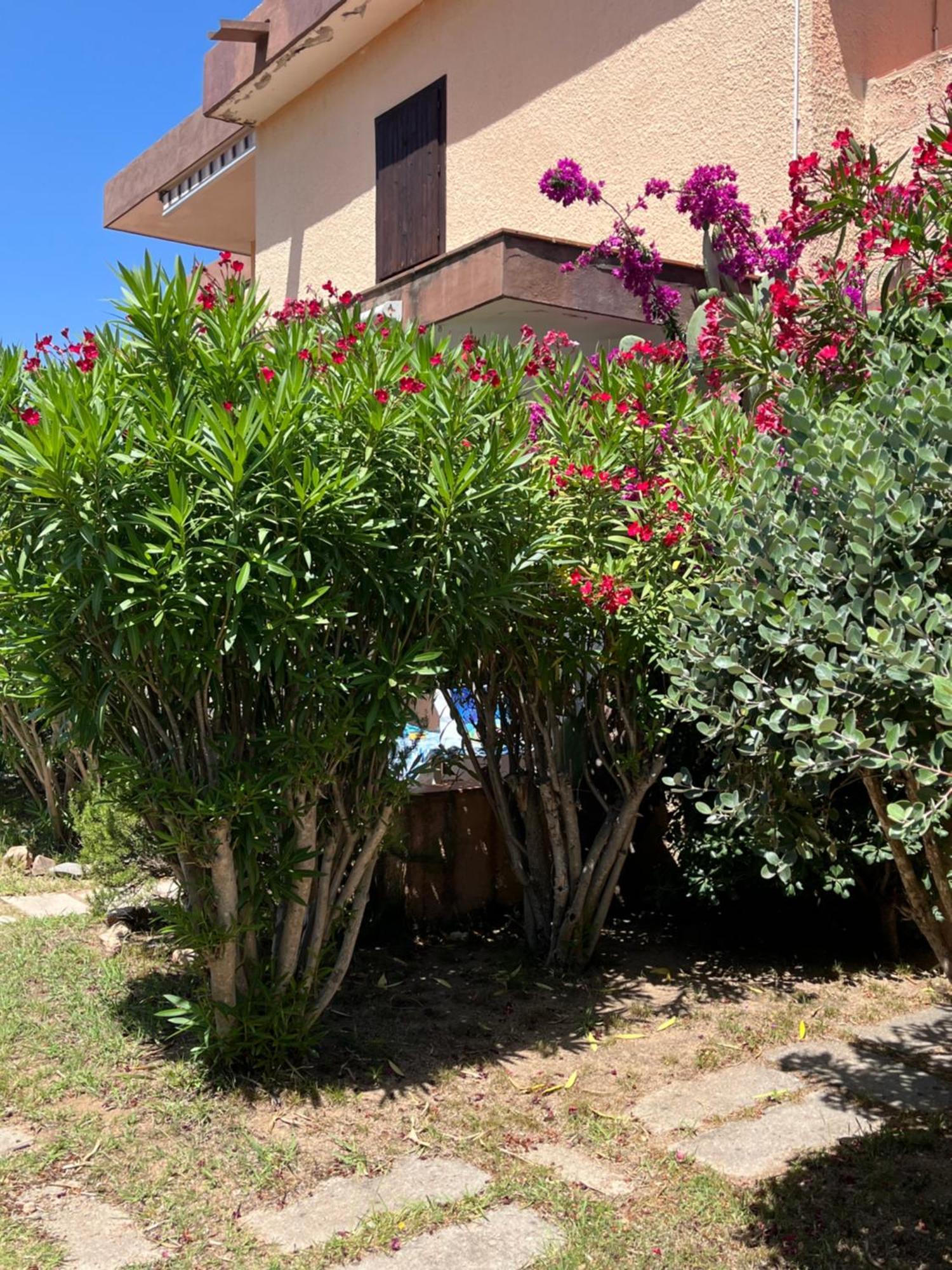 Bilocali Residenza Mediterranea Cannigione Extérieur photo